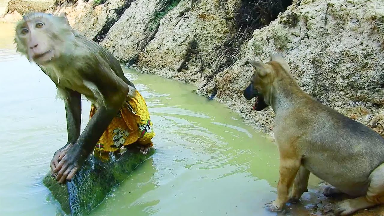 Do You Want To Swim With Me ! Best SokYaa So Fun And SiSi Waiting So Long