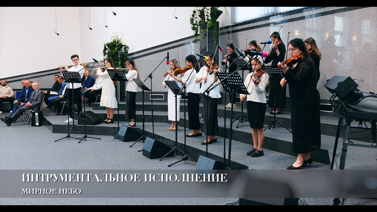 Мирное небо. Интрументальное исполнение