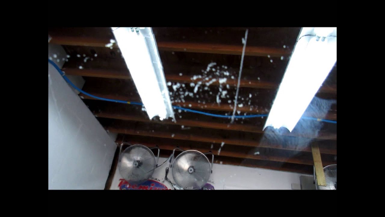 Infinite Purpose Cleaner Effortless Adhesive Removal Garry Dean Tampa FL high end detailing infinite