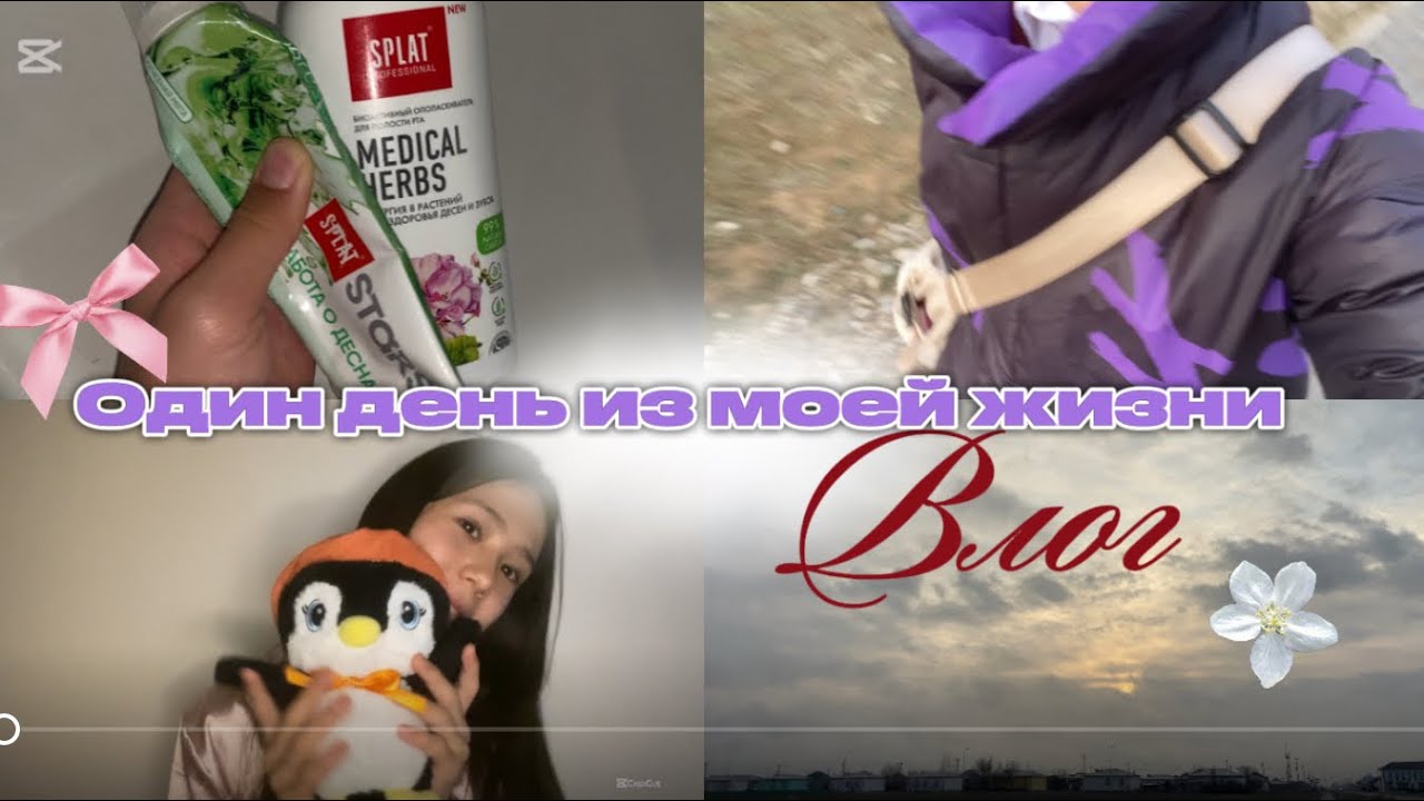 Один день из моей жизни🫐🏫✨#rek #рекомендации #влог