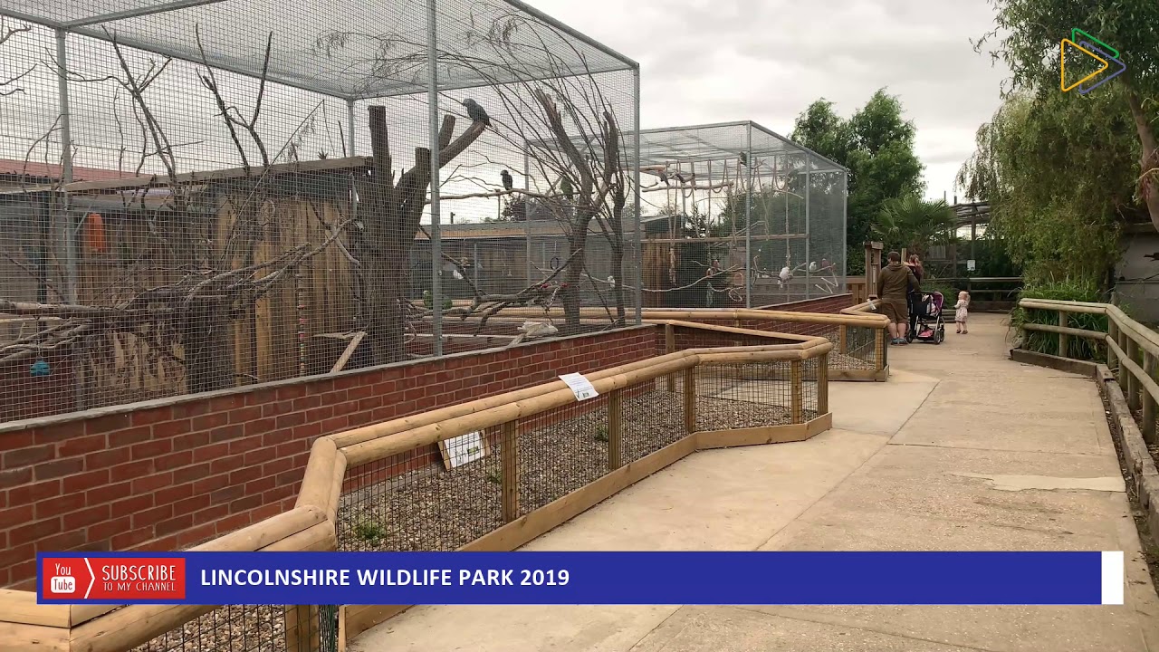 LINCOLNSHIRE WILDLIFE PARK 2019