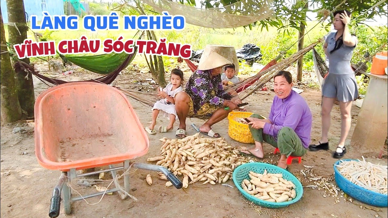 Toàn Cảnh Làng Quê Nghèo Vĩnh Châu Sóc Trăng: Chợ Vĩnh Châu, Bà Con Trồng Trọt Khắp Xóm Làng 2026