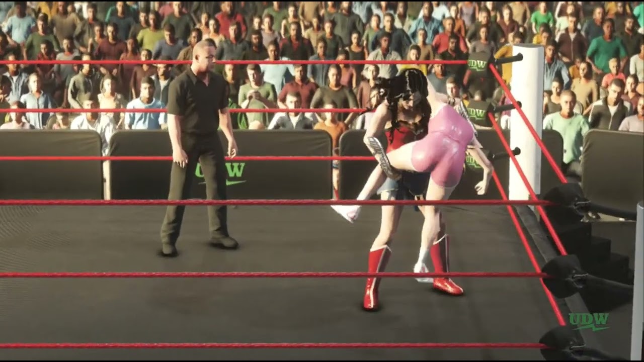 Princess Peach vs. Wonder Woman, Submission (Request)