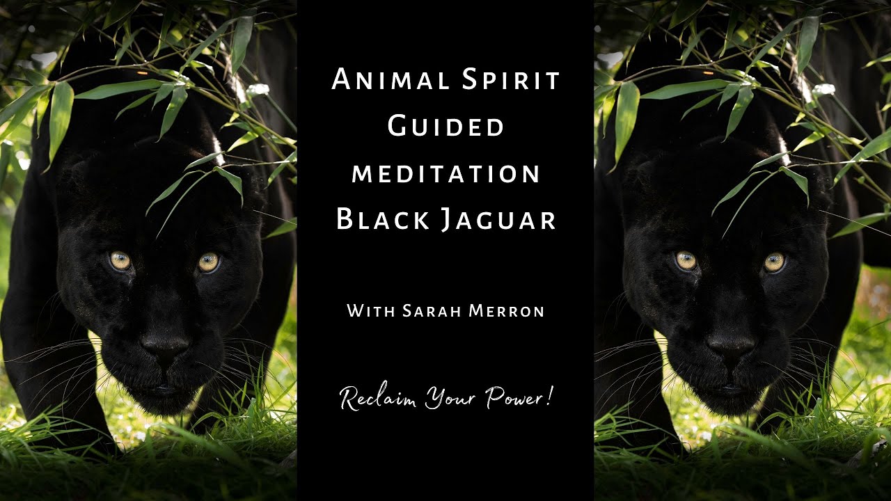 Animal Spirit Guided Meditation Black Jaguar | Shamanic Meditation Series