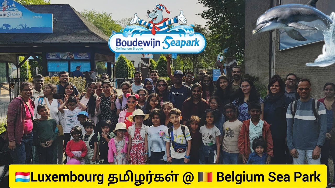 Full day fun 🤩@ Boudewijn Sea Park, Belgium 