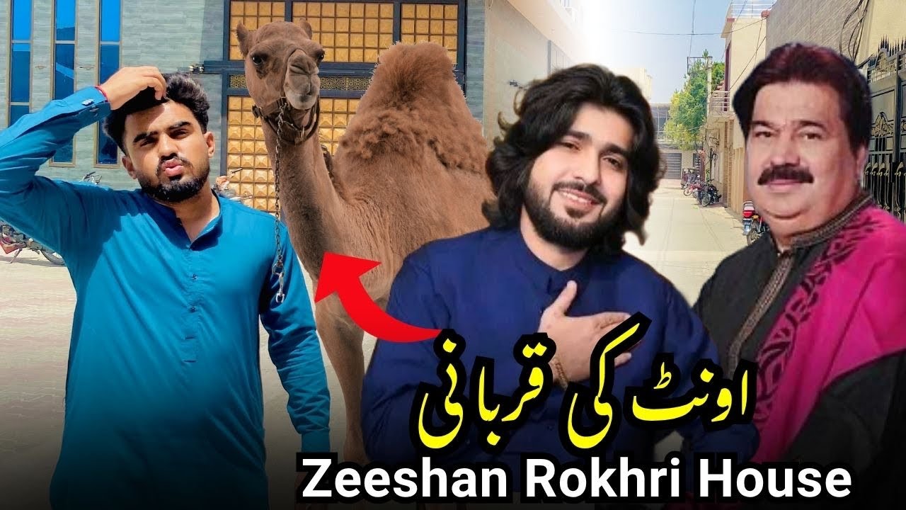 Camel Qurbani In Rokhri House Mianwali😱 ||Meet up with Zeeshan Rokhri ||Rokhri House