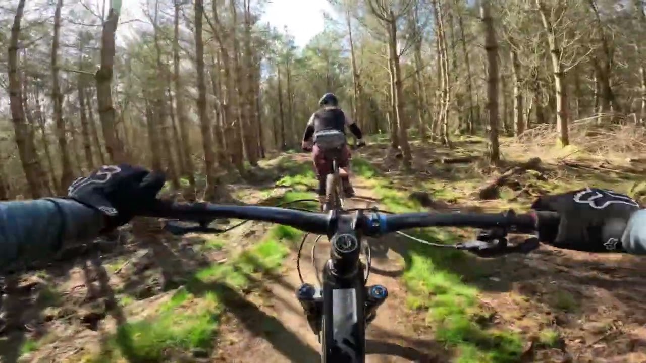 Tarland trails 2 following Anna