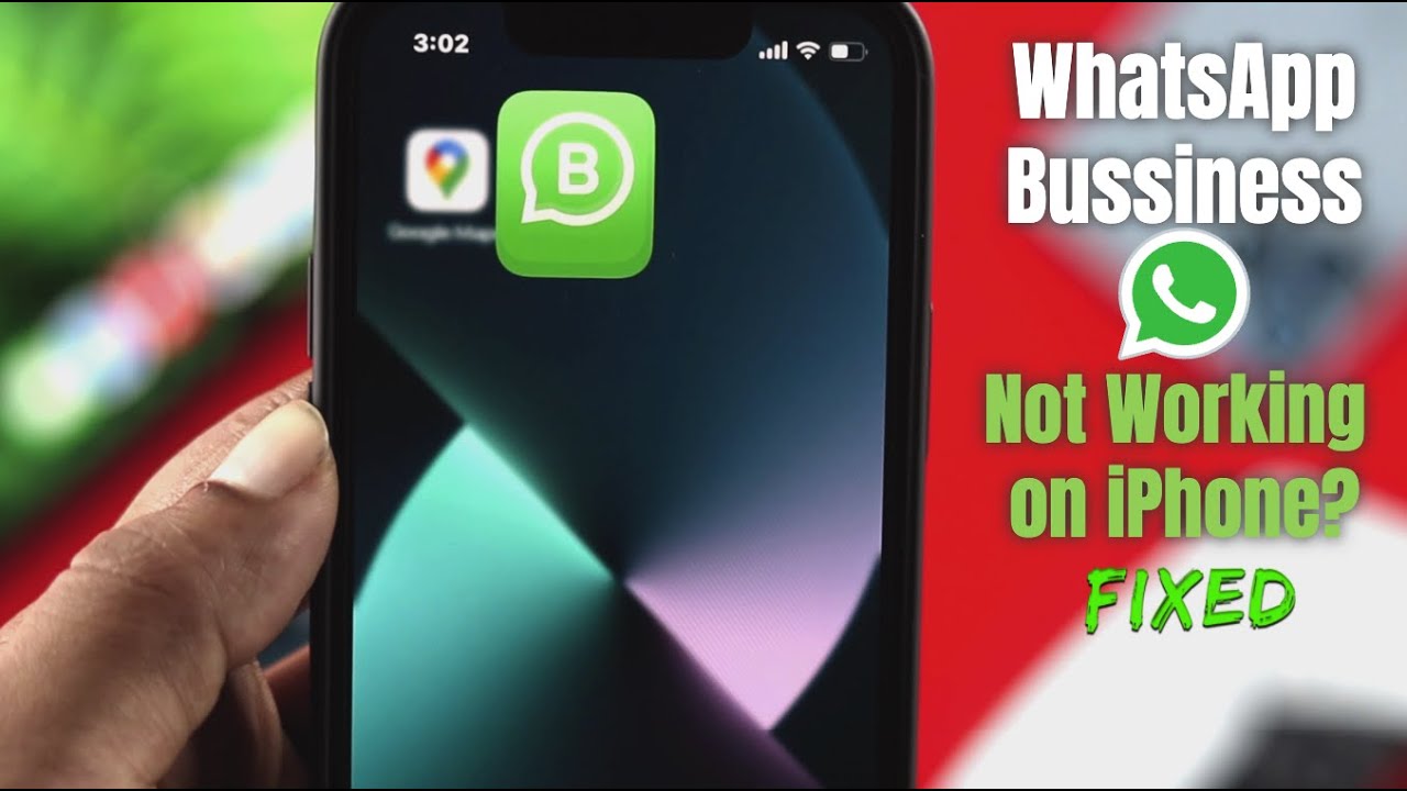 Fixed: WhatsApp Business Not Working on iPhone!
