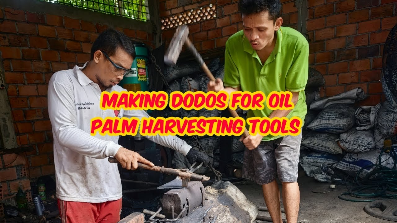 Making dodos oil palm harvesting tools 2