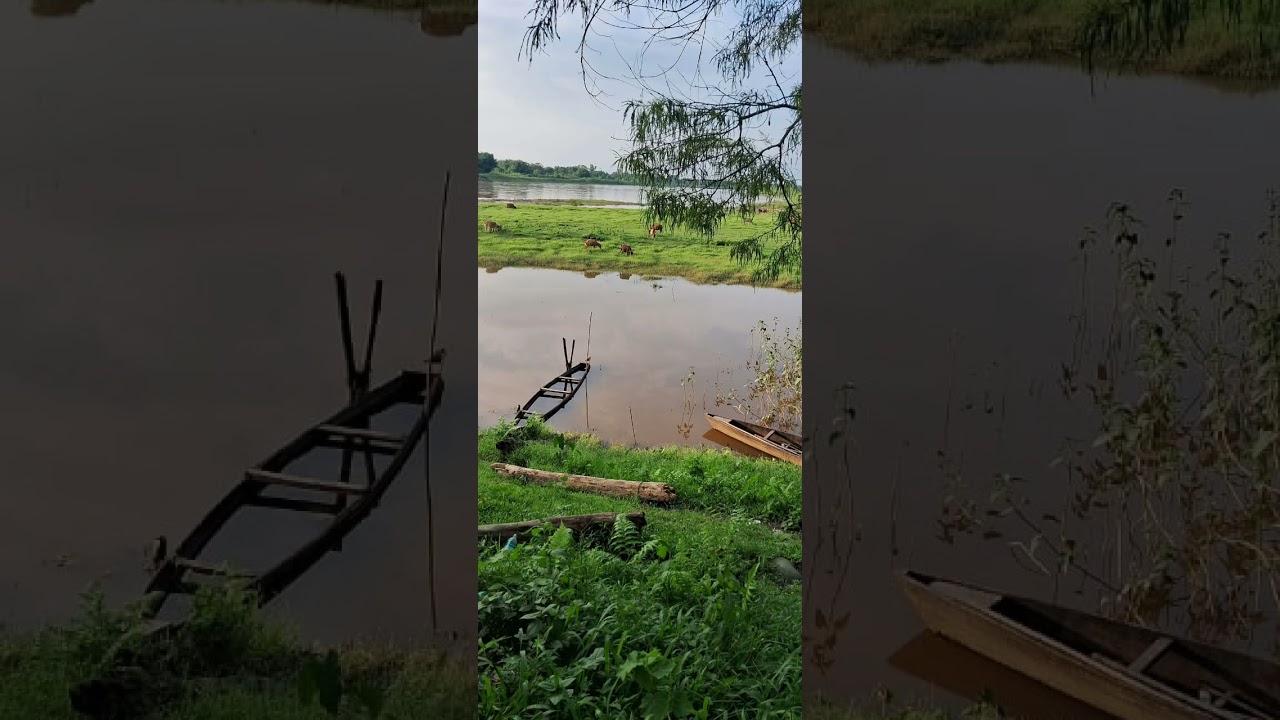 BURHI DIHING RIVER, NAMPHAKE          #Ruralife