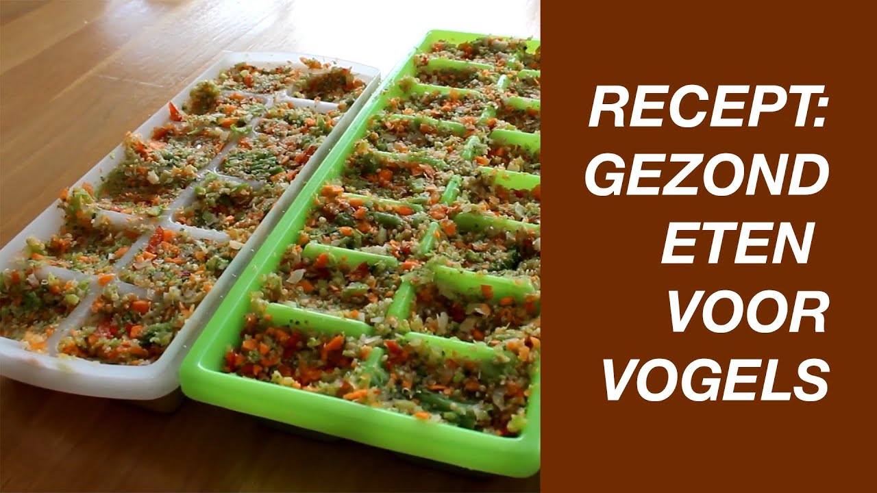 Gezond Eten Voor Vogels Maken (Groente Voor Parkieten En Papegaaien) / Bird Chop