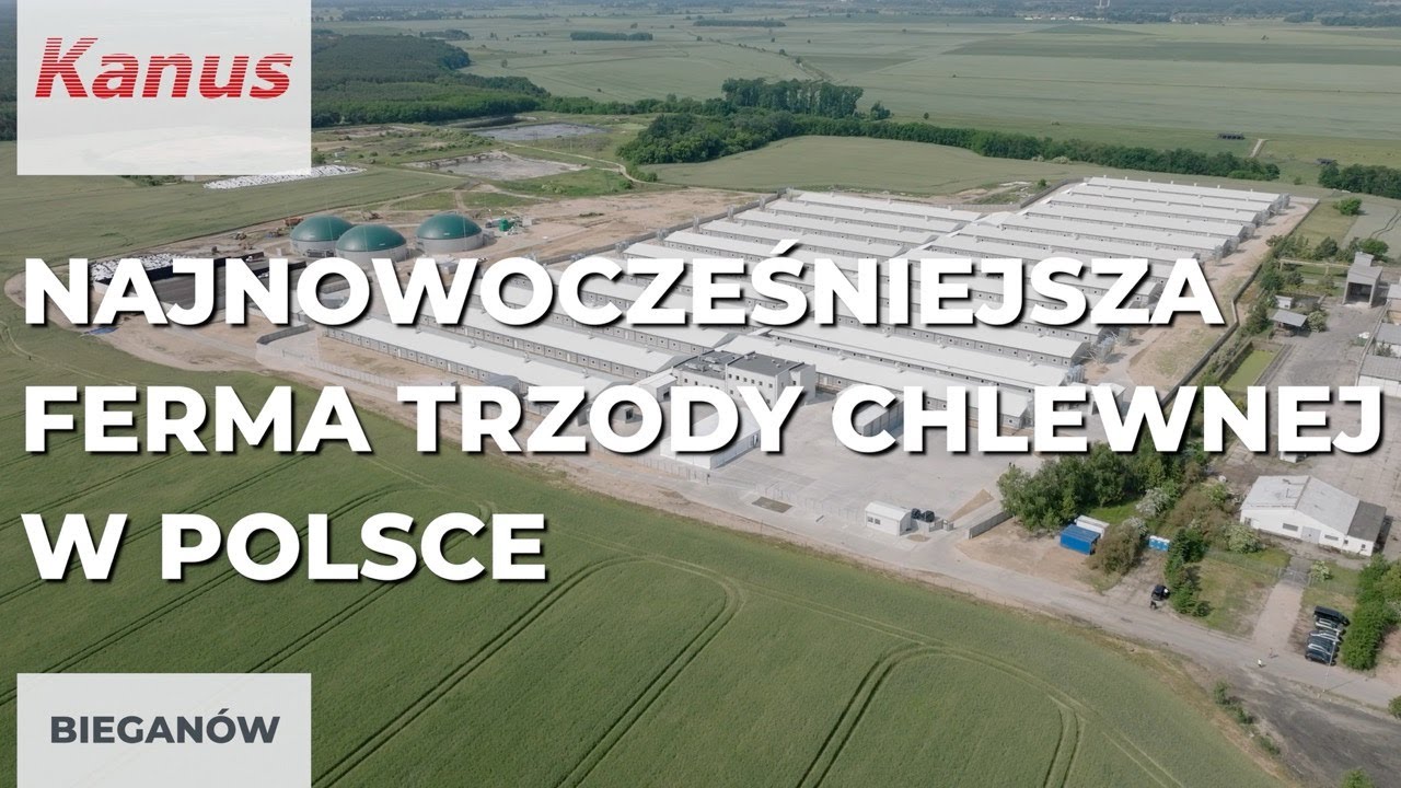 Najnowocześniejsza ferma trzody chlewnej w Polsce - BIEGAN&Oacute;W - ferma na 7000 loch - KANUS