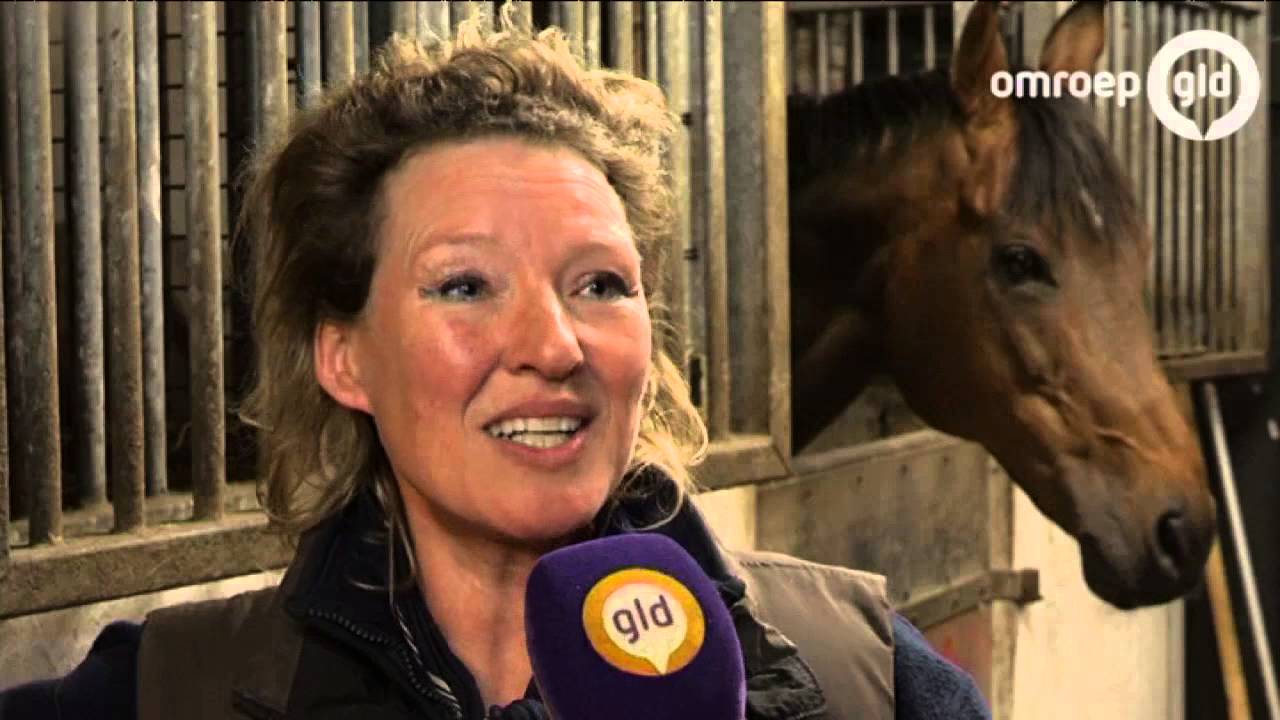 Waarom zijn de 400 dode varkens in Berkelland niet eerder ontdekt? - Omroep Gelderland