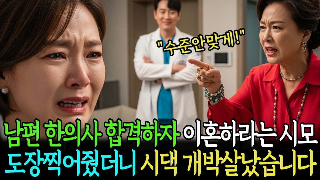 남편 한의사 합격하자 이혼하라는 시모 이혼도장 찍어줬더니 시댁 박살났습니다