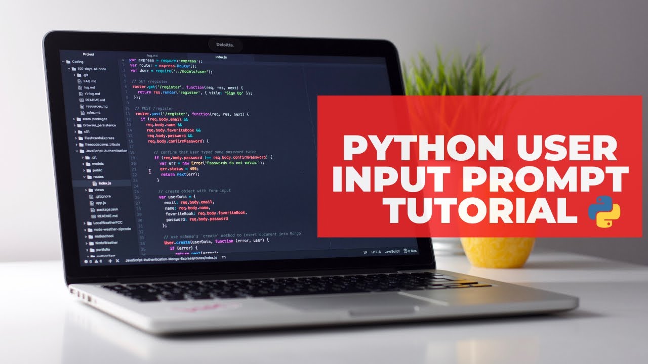 Prompt User for Input Python | Python for Beginners | MLittleProgramming