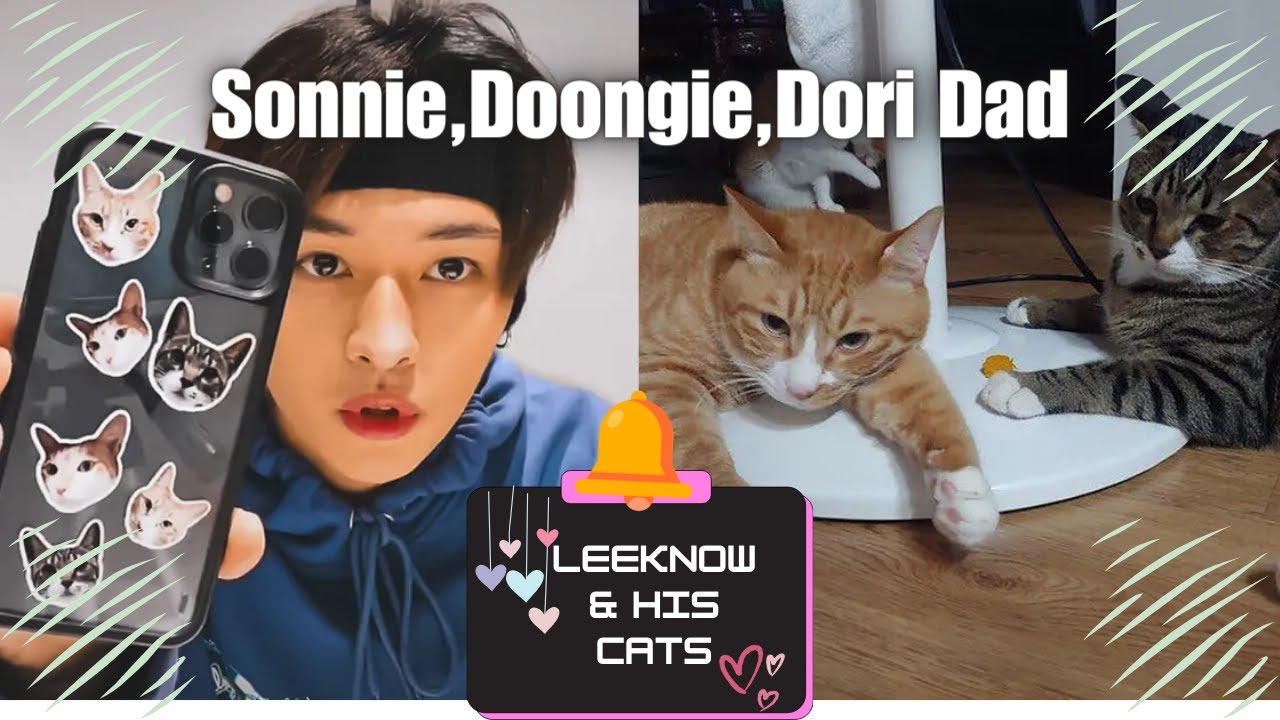 Leeknow is a cat Lover (Soonie, Doongie and Dori's Dad) 