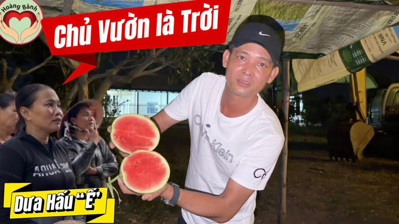 Chủ vườn Dưa Hấu la trời v&igrave; chưa c&oacute; thương l&aacute;i mua 