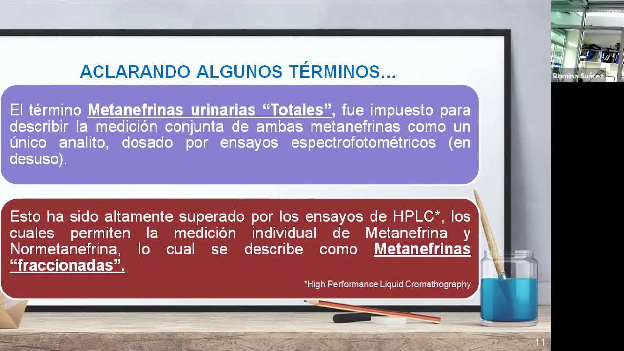 METANEFRINAS 1