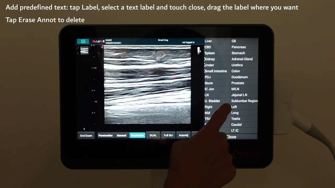 Video Tutorial MyLab X1 VET