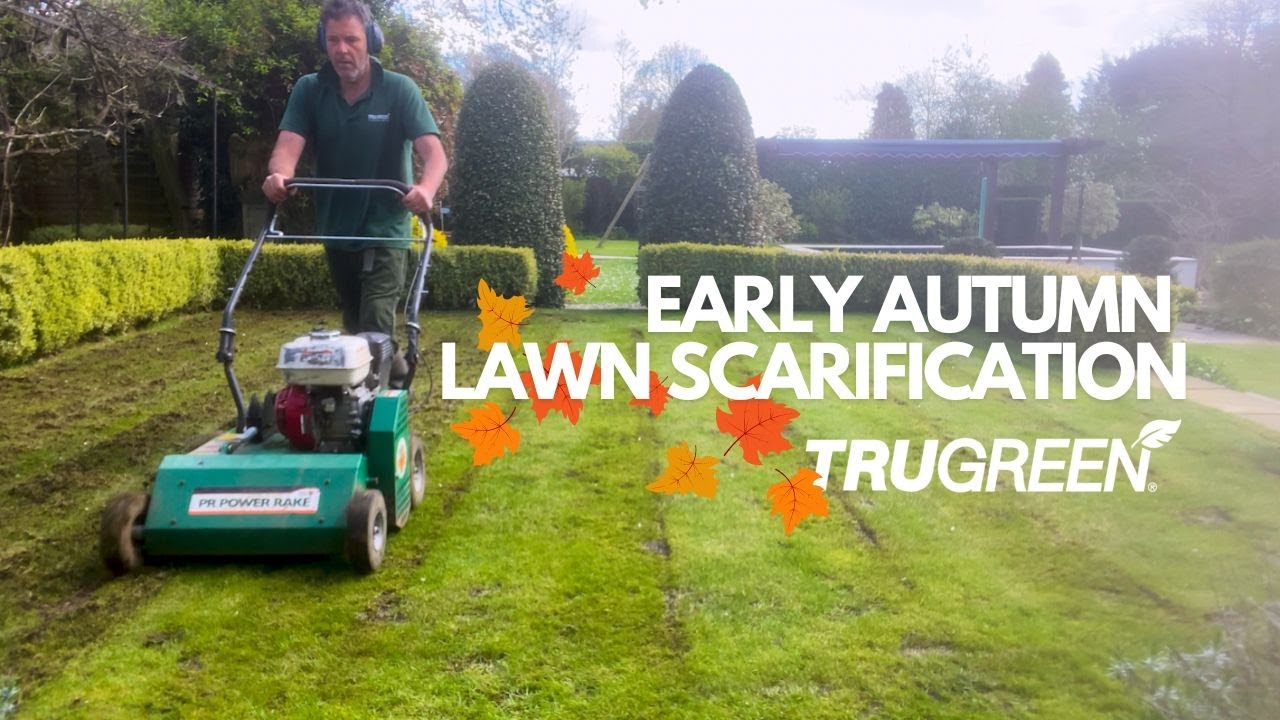 The Importance of Early Autumn Lawn Scarification