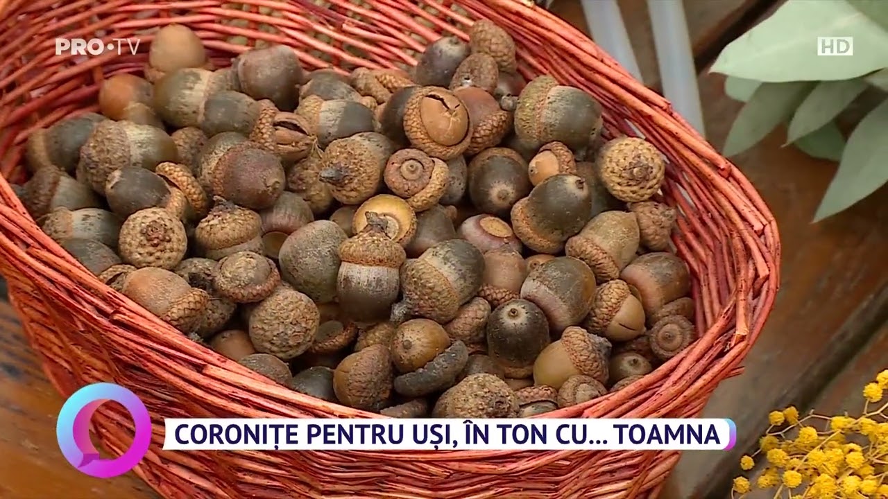 DIY coronițe de toamnă din flori