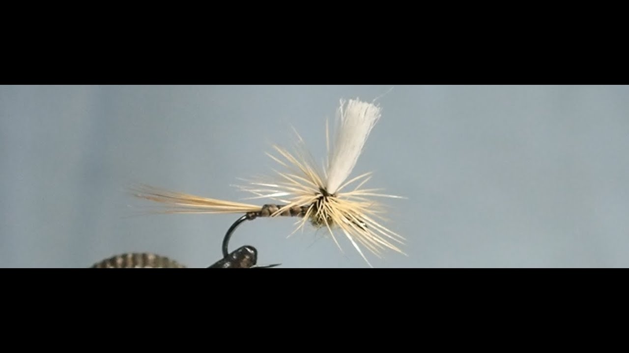 Parachute Quill Paon