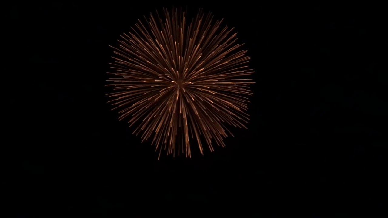 16 Inch Gold Willow Shell