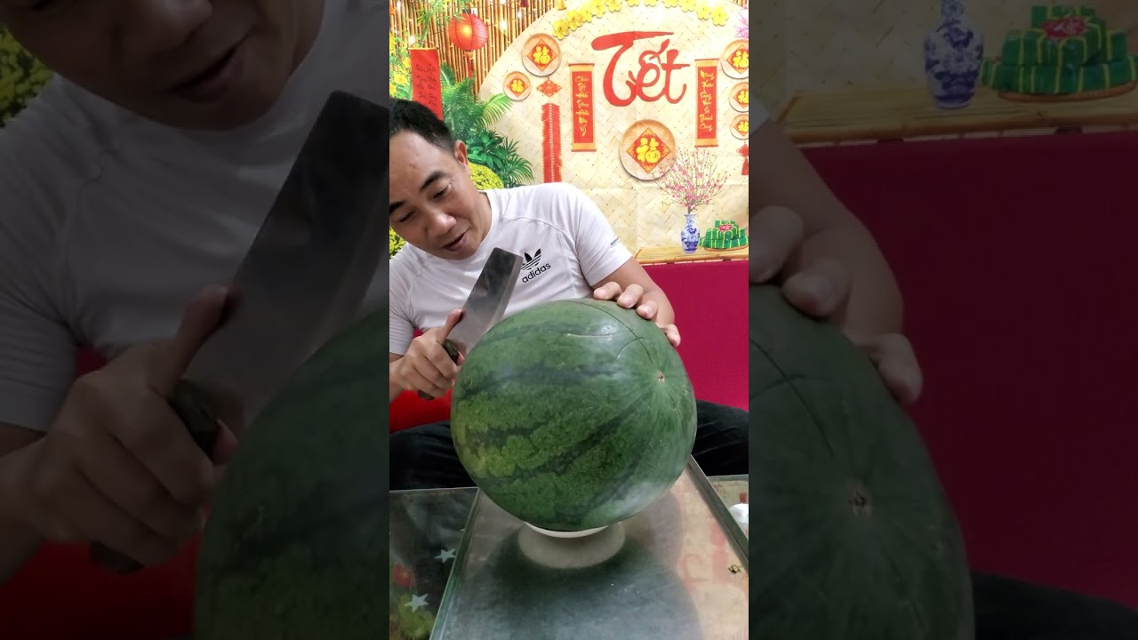 Khui dưa tết cầu may mắn năm mới . Ai hóng đỏ hay trắng như GCP Không nào ? #phongvemiendatphat 