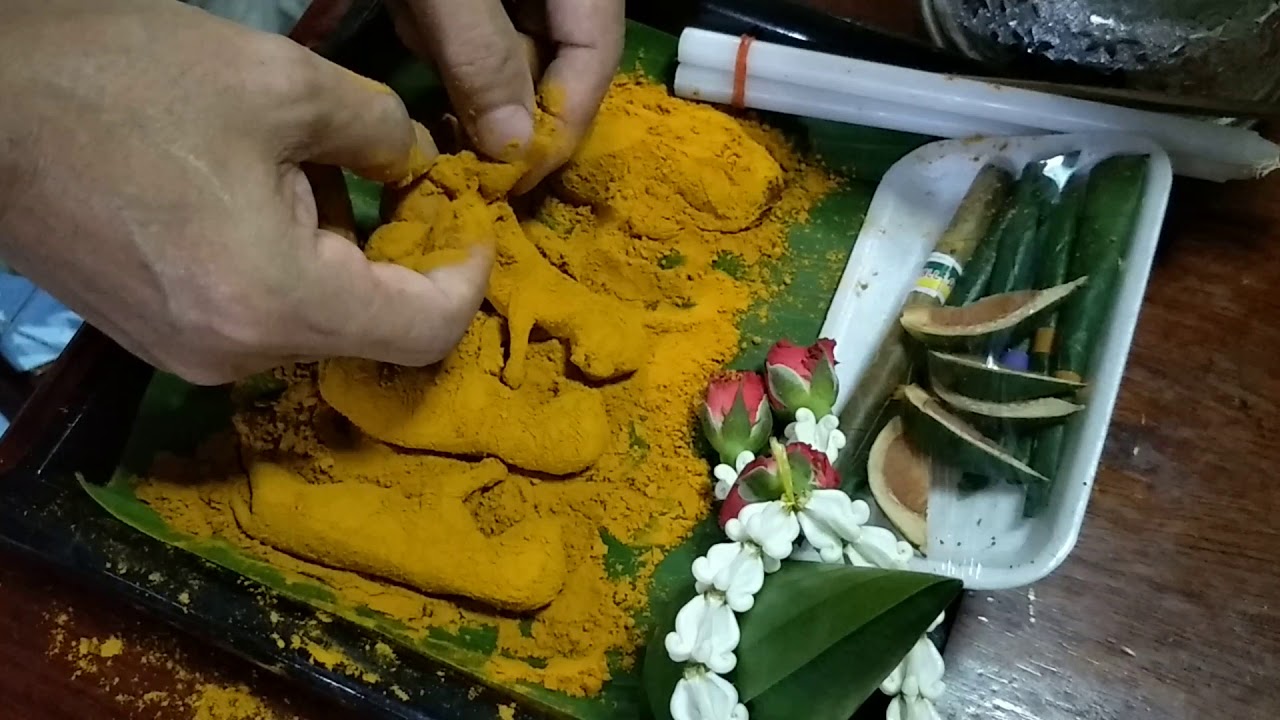 ลูกกรอกแมวหายาก ในวันวิสาขบูชา