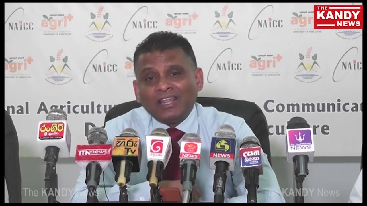 ව්‍යාජ වී ප්‍රභේදයක් ගැන කෘෂිකර්ම දෙපාර්තමේන්තුව පැහැදිලි කරයි