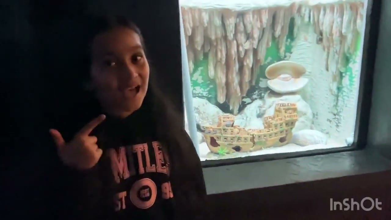 Aquarium Paradise 🧜🏾‍♀️🧜🏻‍♂️🦞🐙🦑🪼🐡🐠🐟🐬🦈🐚🍄🪸🪨#banglore #indianvlogger #love 