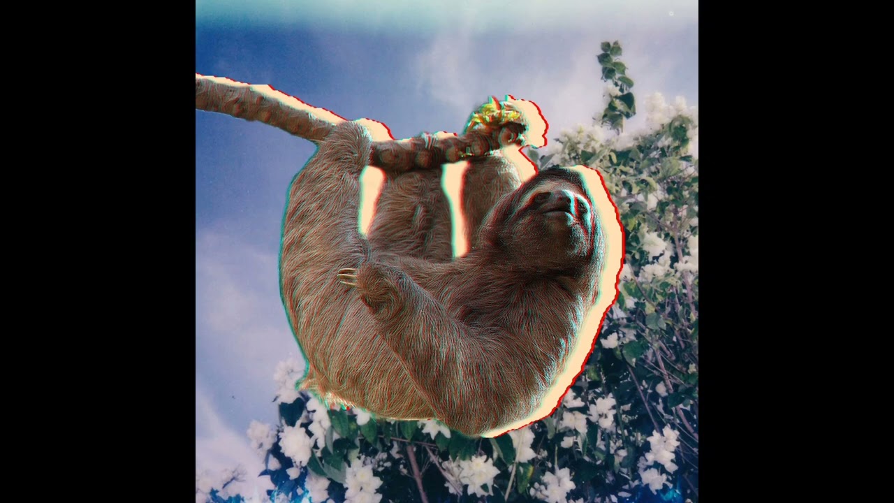 Live in the Wild (Like an Animal) - Collin Mullins 