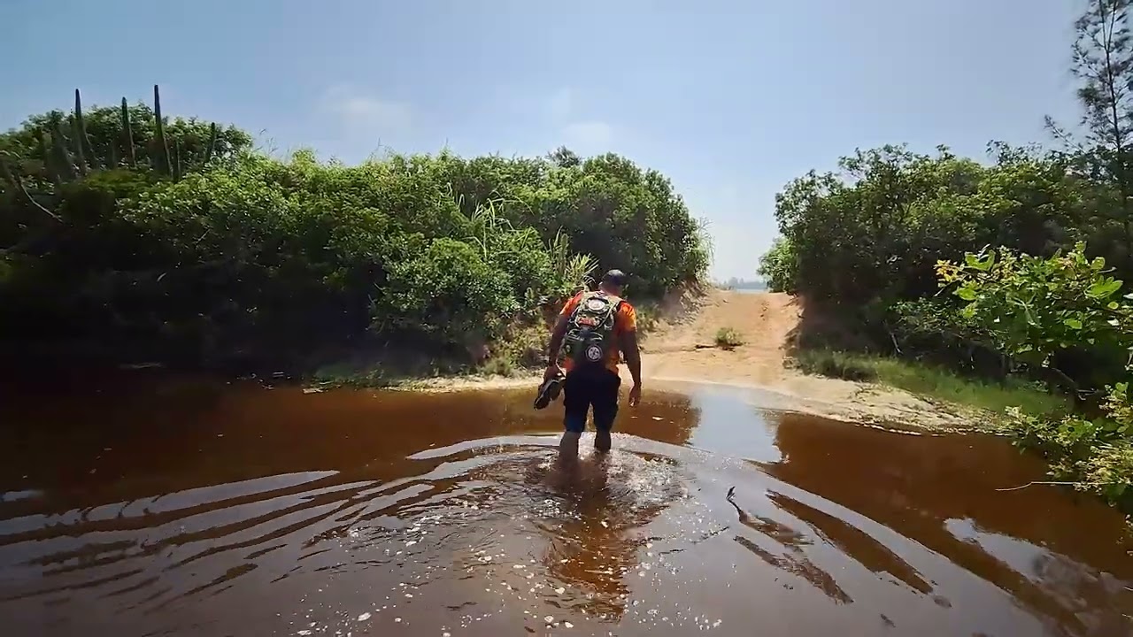 Conhecendo as Lagoas de Saquarema, será que tem jacaré?