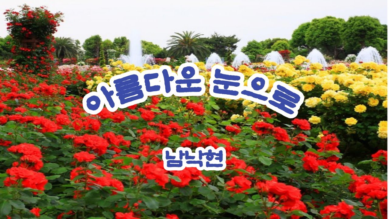 아름다운 눈으로 / 남낙현