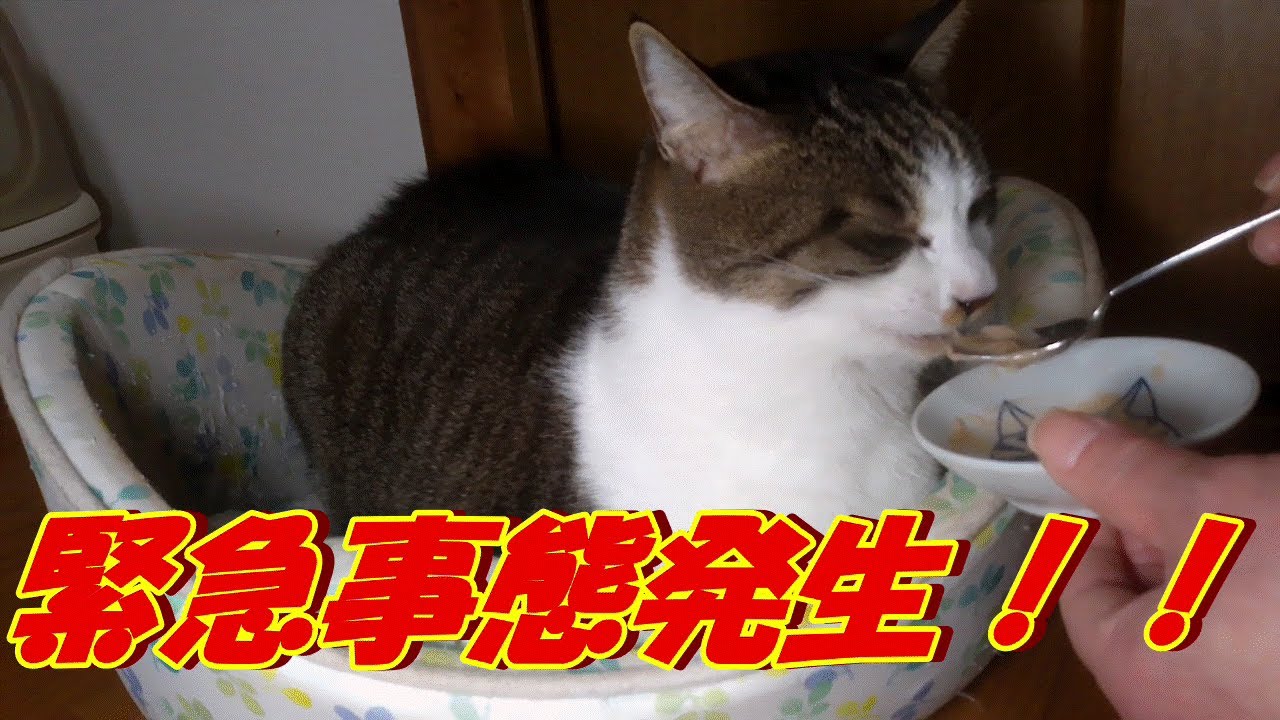 ヤバい！！たいへ～ん😱緊急事態です💦