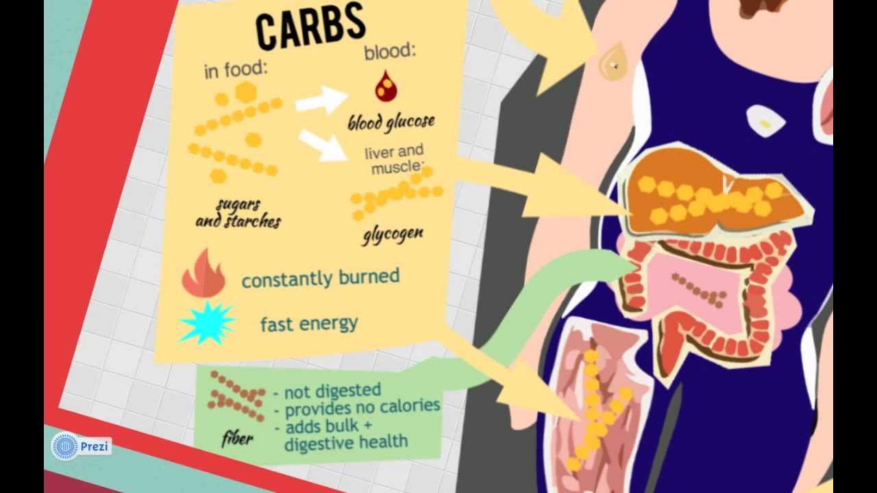 Nutrition for Rowers