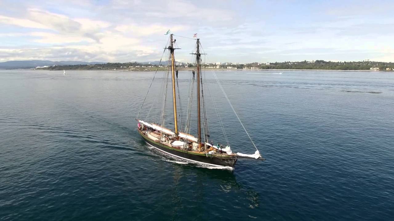 Pacific Grace