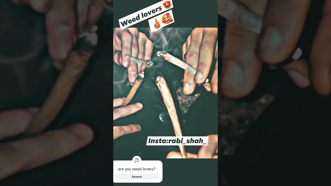 weed lovers 😍 #viralpost#weedlovers #cigratelover #smokking#gajeriyaxarasab