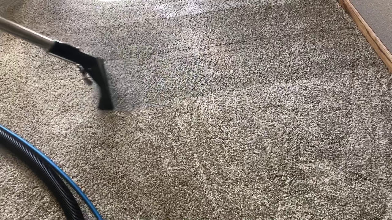 Home Carpet Cleaning