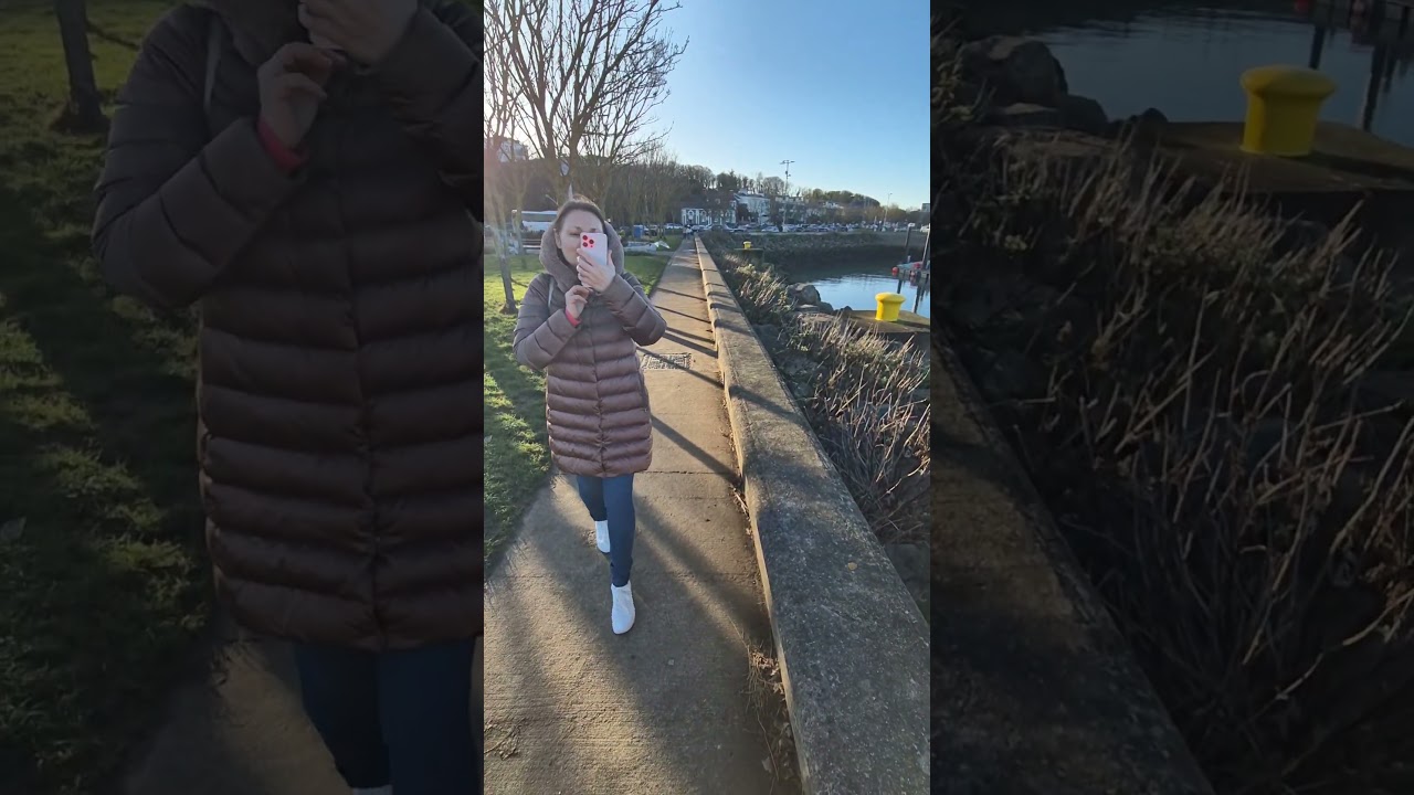 Будем кормить рыбой морских котиков⁉️ Howth, Ирландия🇮🇪