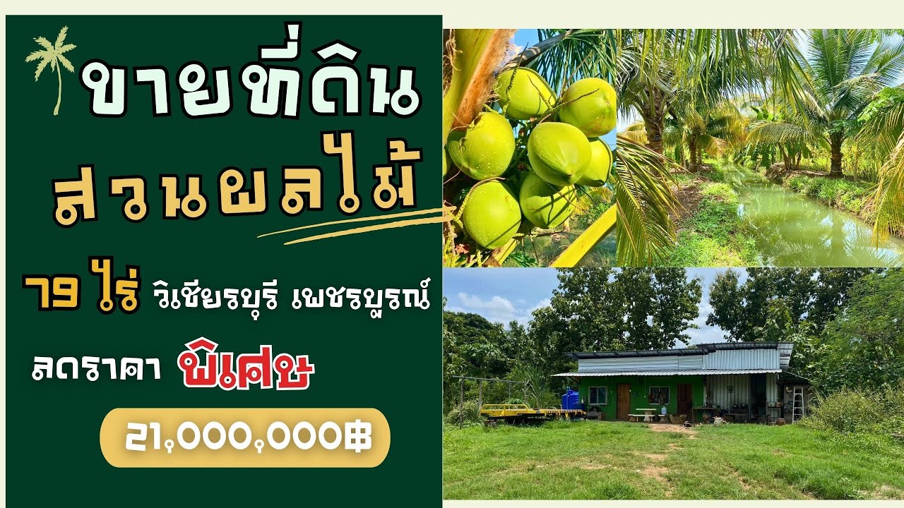 ที่ดินสวนผลไม้ 79 ไร่ ต.สามแยก อ.วิเชียรบุรี จ.เพชรบูรณ์