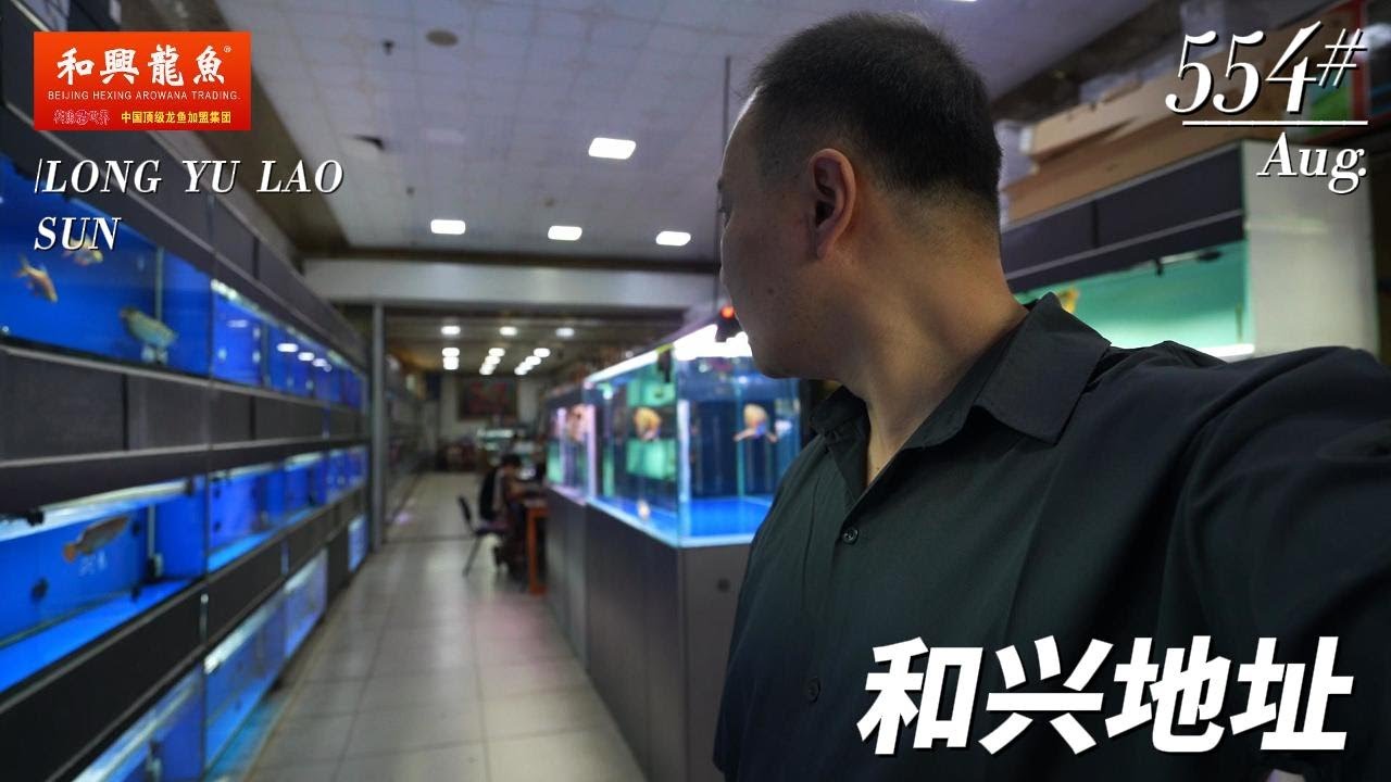 #554 В чем разница между адресом Hexing и элитной Arowana?