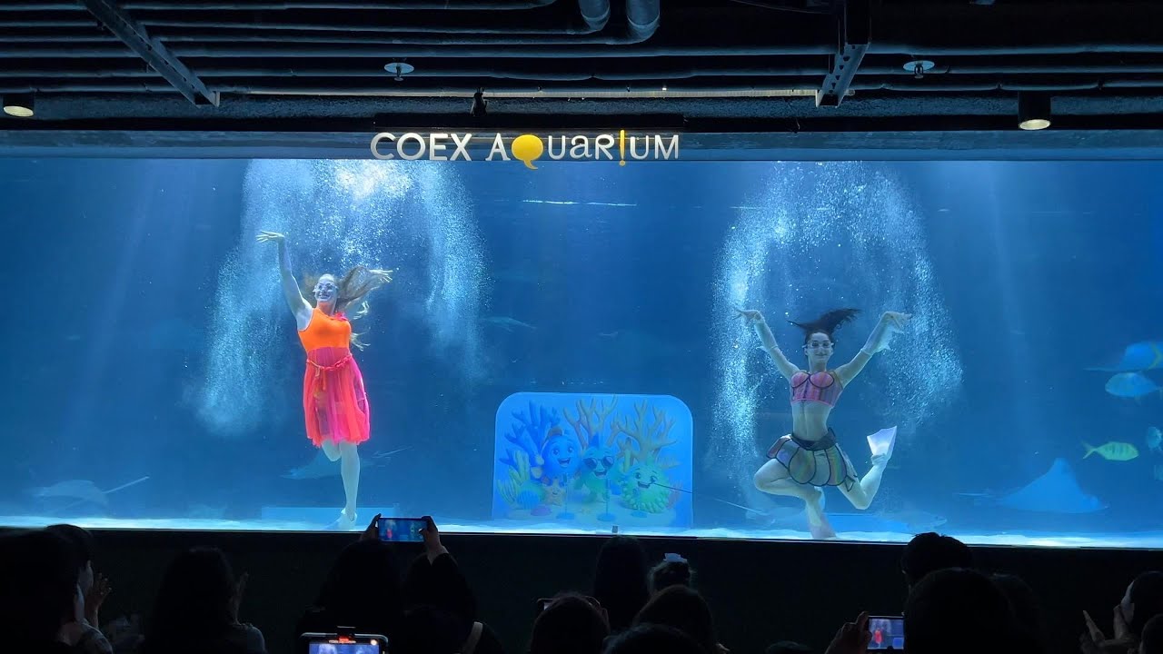Mermaid Performance | COEX Aquarium | Seoul, South Korea [4K]