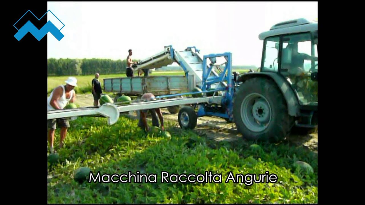 Meccanica malavasi, Raccolta Angurie, Raccolta cocomere, Raccolta Ortaggi