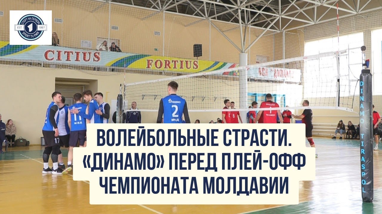 Волейбольные страсти. «Динамо» перед плей-офф Чемпионата Молдавии