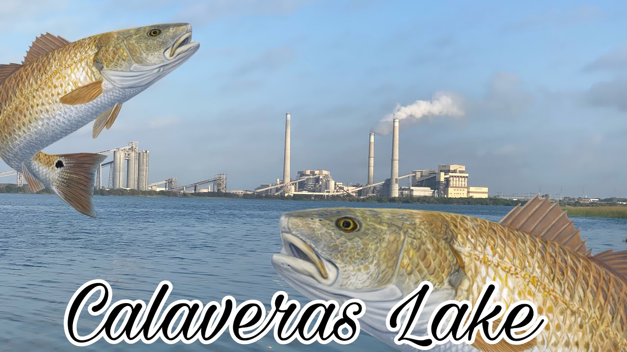 Как я ловлю окуня на озере Калаверас!