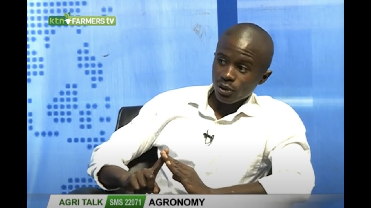 The Importance of Good Agronomic Practices - Agri Talk