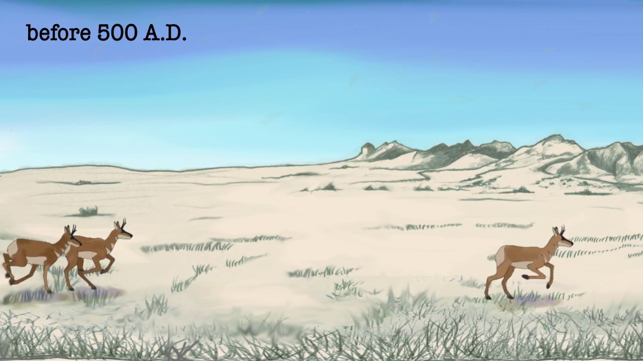 Catching Water in the Desert