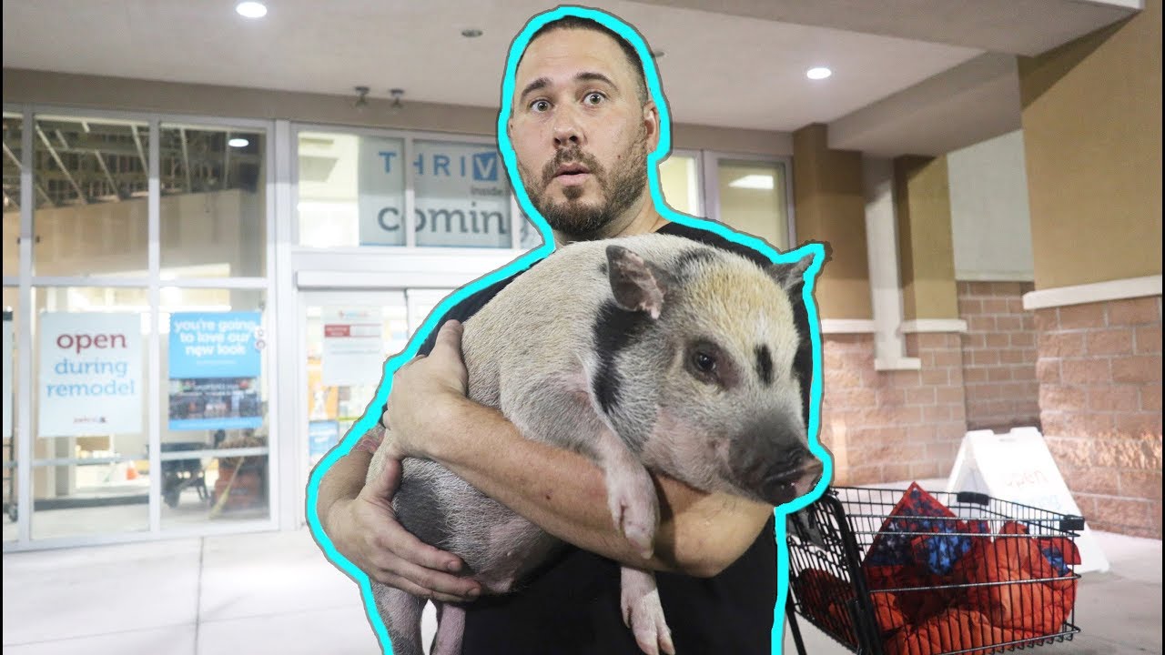 TAKING MY PET PIG TO THE STORE!