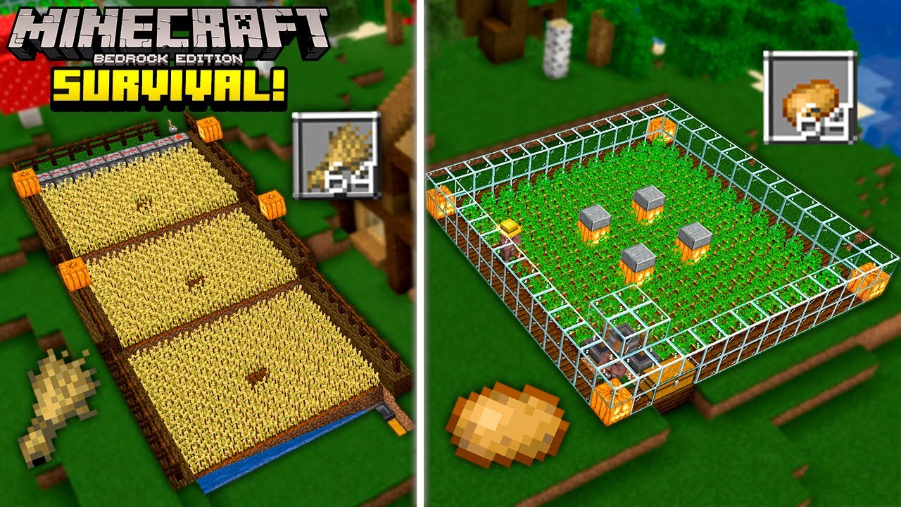 FARMS de TRIGO e BATATA no Minecraft Bedrock Survival! (#5)